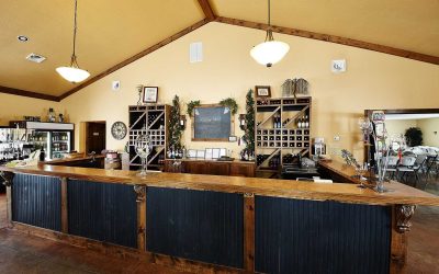 Harmony and Hilarity: Dueling Pianos Delight at Willow Ridge Winery