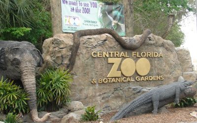 A Wedding of Galactic Proportions: Dueling Pianos Meet Star Wars at Central Florida Zoo & Botanical Gardens