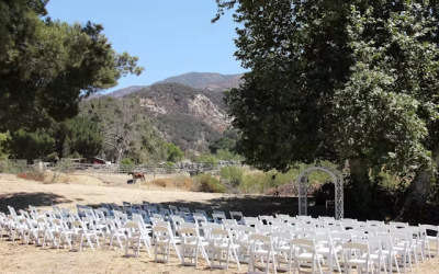 A Feathered Serenade: Dueling Pianos Meet Wildlife at Reptacular Animals Ranch