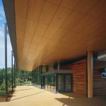 Morton Arboretum Visitor