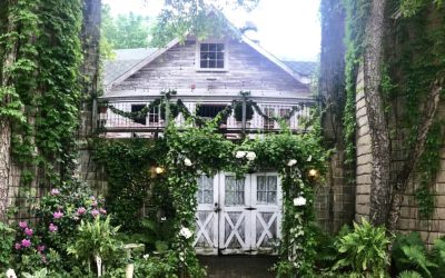 A Night of Dueling Pianos and Delightful Surprises at the Blue Dress Barn