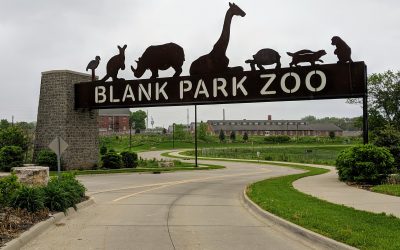 A Roaring Good Time: Dueling Pianos Meet Wildlife at Blank Park Zoo