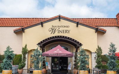 A Symphony of Keys and Laughter: Dueling Pianos Ignite San Antonio Winery’s Biggest Event Yet!