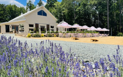 A Harmonious Union: Dueling Pianos Meet Lavender Oaks Farm for the First Time