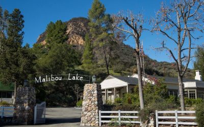 A Night of Melodies and Mirth: Dueling Pianos at The Lodge at Malibou Lake