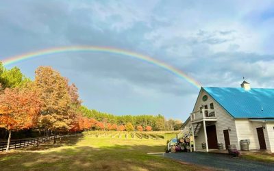 Cheers and Cheers: Dueling Pianos Ignite Excitement at Hardware Hills Vineyard