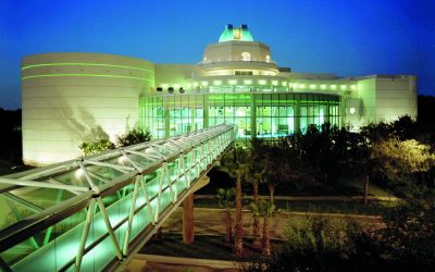 Dueling Pianos and Dinosaurs: A Unique Wedding Celebration at the Orlando Science Center