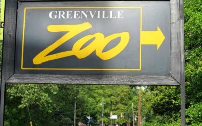 Greenville Zoo Dueling Pianos: A Mega Mashup Masterpiece!