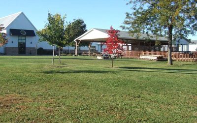 A Night of Dueling Pianos and Patriotic Passion at Tom E Hartung American Legion Post 1977
