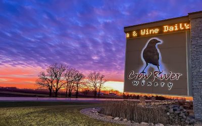 Don’t Miss a Thing: A Wedding to Remember at Crow River Winery with Felix And Fingers