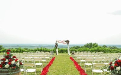 Wedding Extravaganza: An Awesome Vineyard Experience