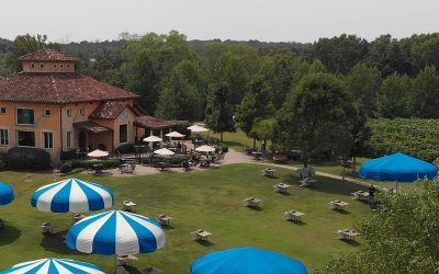 Dancing with Brandy at Blue Sky Vineyard: A Dueling Pianos Night to Remember