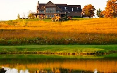 Milford Hills Wedding Extravaganza: Free Bird Antics & Country Classics!