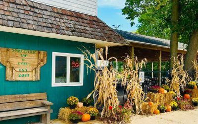 Symerton Tap and Grill Shines: A BEAUTIFUL Sunday Afternoon with Felix And Fingers