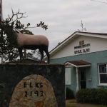 Ormond Beach Elks Lodge: “The Elk lodge was the perfect venue for this epic shindig” Comes Alive with Dueling Pianos Ormond Beach Elks Lodge