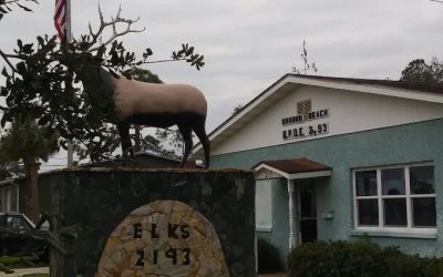 Ormond Beach Elks Lodge: “The Elk lodge was the perfect venue for this epic shindig” Comes Alive with Dueling Pianos
