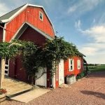 Tansy Hill Farm's Enchanted Wedding – "One of the More Beautiful Weddings I've Played For Tansy Hill Farm