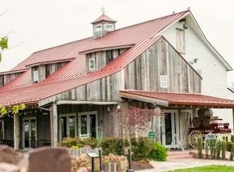 Winery at Bull Run’s Magical Wedding: When Emily Crushed “I Believe in a Thing Called Love”