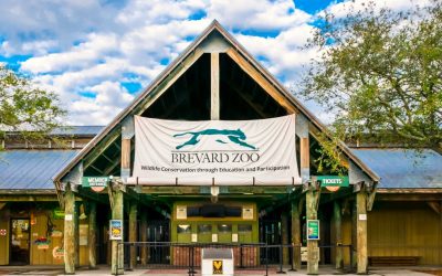 Brevard Zoo Brings Dueling Pianos Delight – “Meny’s rendition of scenes from an Italian restaurant was truly moving and transformative