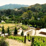 Engagement Magic at Calamigos Ranch Events – “The Buffet Was Great” and the Tunes Electrified Malibu! Calamigos Ranch Events