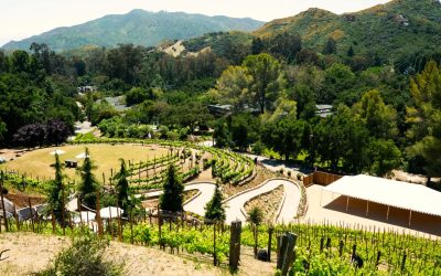 Engagement Magic at Calamigos Ranch Events – “The Buffet Was Great” and the Tunes Electrified Malibu!