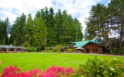 What a Wonderful Sneaker Ball: Charity, Dueling Pianos, and Dessert Delights at Kiana Lodge