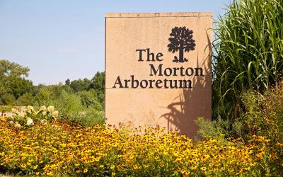 At Morton Arboretum, the Dancing Started with “September” – A Wedding to Remember!