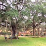 Rustic Revelry at Bird Island Lake Ranch: Steak, Cows, and Dancing to “Fishin’ in the Dark” Bird Island Lake Ranch