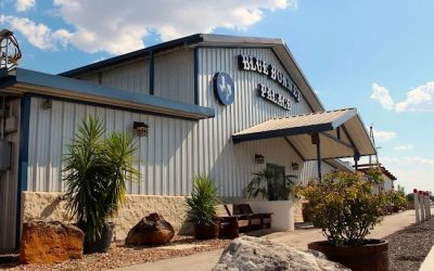 A Beautiful Holiday Party for Americrane: Blue Bonnet Palace Shines with Felix And Fingers Magic