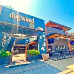 Dogwood Domain Dazzles in Austin: Aimee Brought the House Down at Felix And Fingers' Festive Corporate Bash! Dogwood Domain