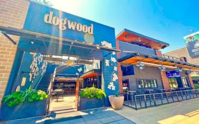 Dogwood Domain Dazzles in Austin: Aimee Brought the House Down at Felix And Fingers’ Festive Corporate Bash!