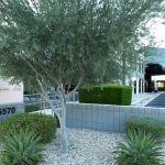 15570 N 83rd Pl Shines in Scottsdale: A "Wonderful Client to Play For" Duelling Pianos Extravaganza Sub-Zero, Wolf, and Cove Showroom
