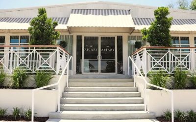 Apiary Spectacle: Corporate Cheers, Wings with Alabama White Sauce, and Dueling Pianos Magic