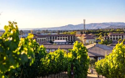 Meritage Resort and Spa Magic: A Stunning Christmas Tree and Icy Rink Set the Stage for an Unforgettable Corporate Celebration