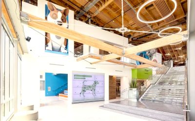 12005 Bluff Creek Dr Dueling Pianos Delight: A Kendrick Lamar Twist in Los Angeles