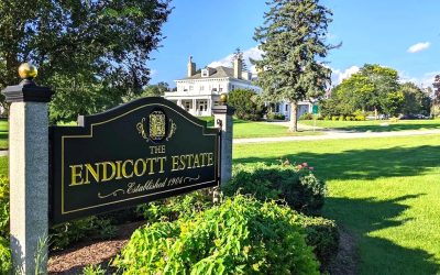 Endicott Estate’s Historic Groove: Shardin’s Dance Floor Takeover
