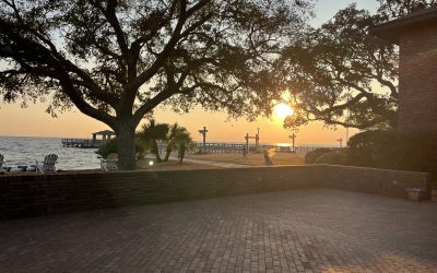 One Grand Boulevard Magic: A Watermelon Association Gala That Hit All the Right Notes