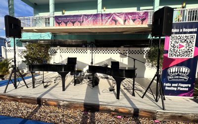 150 Lorelane Pl: A Night so Enchanting You’d Think “They Couldn’t Have Picked a Lovelier Place” for Dolphins and Dueling Pianos