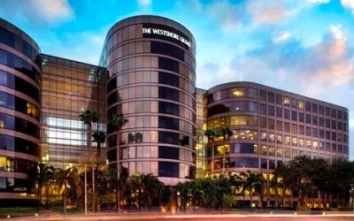 The Westshore Grand, A Tribute Portfolio Hotel, Tampa Rocks: Headbanging Moments & Unforgettable Food!