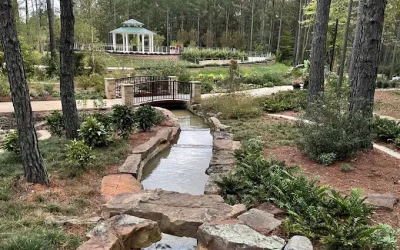 706 W Cotton St’s Unforgettable Night: Insane Requests and a YMCA Dance-Off