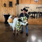 The Springs Events Venue - Weatherford Hosts a Boot-Stomping Wedding with Country Hits, Barbecue, and Beer-Toting Highland Cows IMG_2152