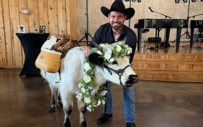 The Springs Events Venue – Weatherford Hosts a Boot-Stomping Wedding with Country Hits, Barbecue, and Beer-Toting Highland Cows