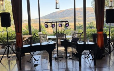 Cher, Weird Al, and Vineyard Views: Ram’s Gate Winery Corporate Event Turns Into a Dance Party