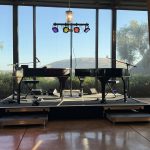 Conga Lines, Moonwalks, and a Champions Sing-Along at Ram's Gate Winery IMG_1391