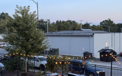 Sing-Alongs Across the Lawn Made This Logboat Brewing Company Corporate Event Shine