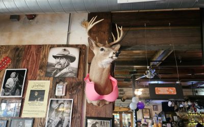 Purple Wigs, Fight Songs, and a Packed Gar Hole: Anna Fundraiser Finds Its Rhythm