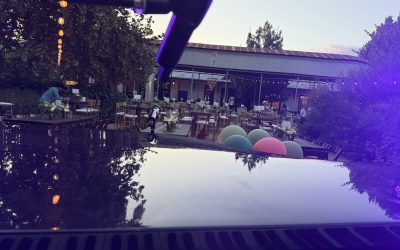 Springdale Station Rocks as Backyard Ball Guests Sing, Dance, and Dive Into a Surprise Emo Medley