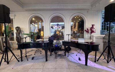 From Toto to Sweet Caroline: A Tampa, Florida Corporate Celebration That Had CEOs Dancing